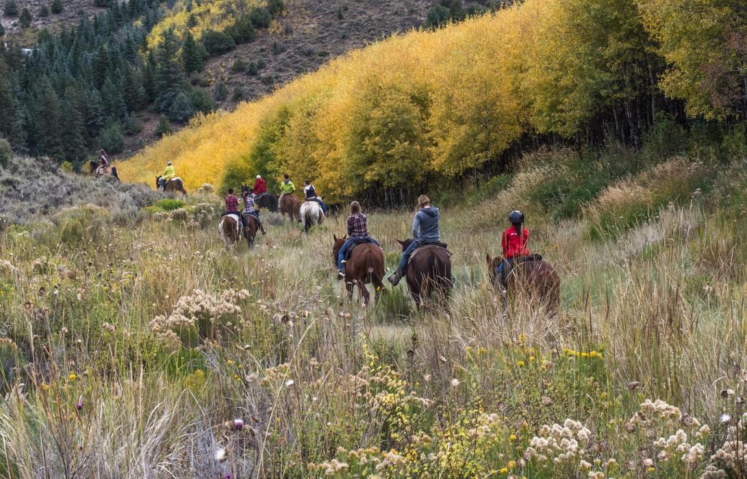 Vail To Aspen in Edwards, Colorado | Bearcat Stables