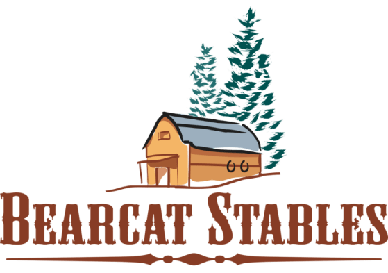 bearcat stables logo