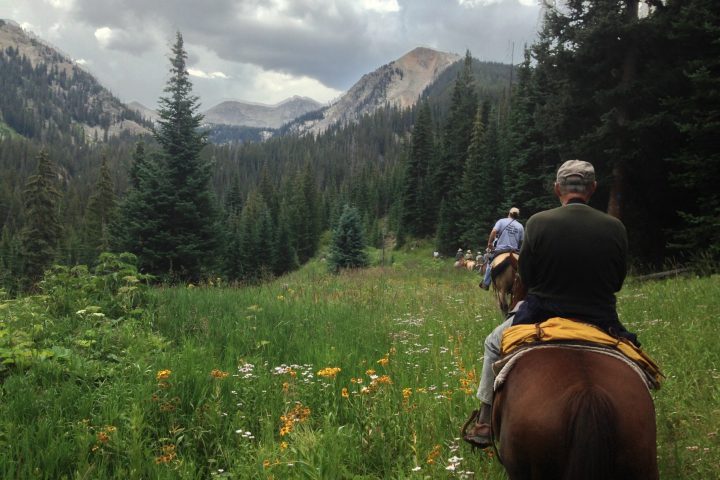 a person riding a horse in a forest in Vail Colorado