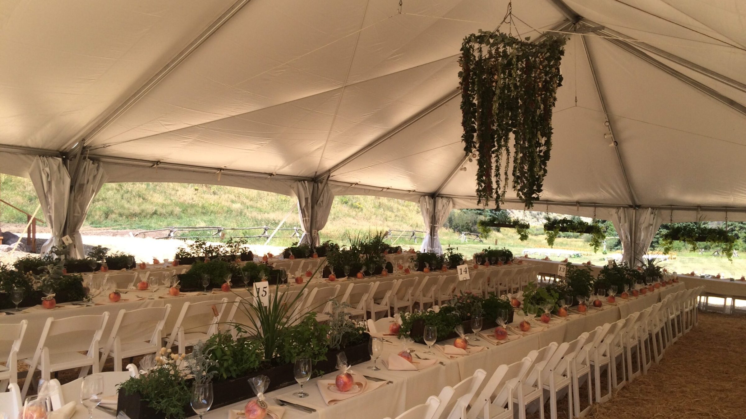 a herd of sheep in a garden