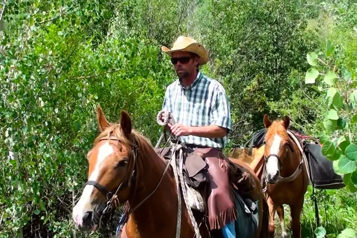 a person riding a horse